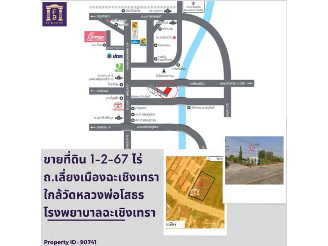 ขายที่ดิน เศรษฐกิจภาคตะวันออก (EEC)"พื้นที่เมืองใหม่สำหรับการอยู่อาศัย" เหมาะกับการลงทุน