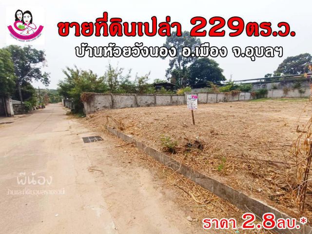 ขายที่ดินเปล่า 229ตร.ว. พิกัด ห้วยวังนอง ต.ปทุม อ.เมือง จ.อุบล