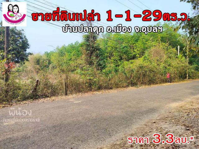 ขายที่ดินเปล่า  1ไร่ 1งาน 29ตารางวา บ้านปลาดุก ต.ไร่น้อย อ.เมือง จ.อุบลราชธานี