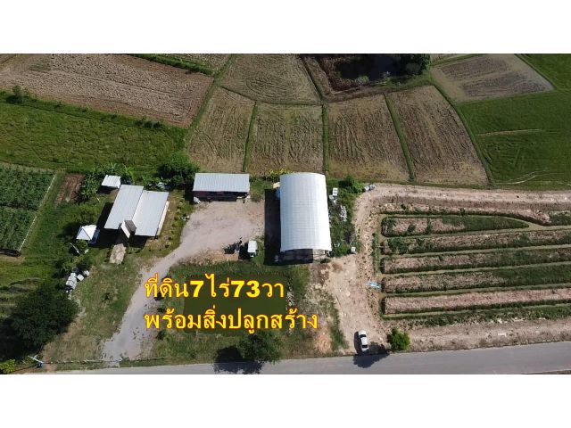 ที่ดิน7ไร่73ตร.วา พร้อมสิ่งปลูกสร้าง หน้ากว้างติดถนยาว260เมตร อยู่ดอนแร่ ใกล้วัดทุ่งหญาคมบาง เหมาะอยู่อาศัยเกษตรพอเพียง