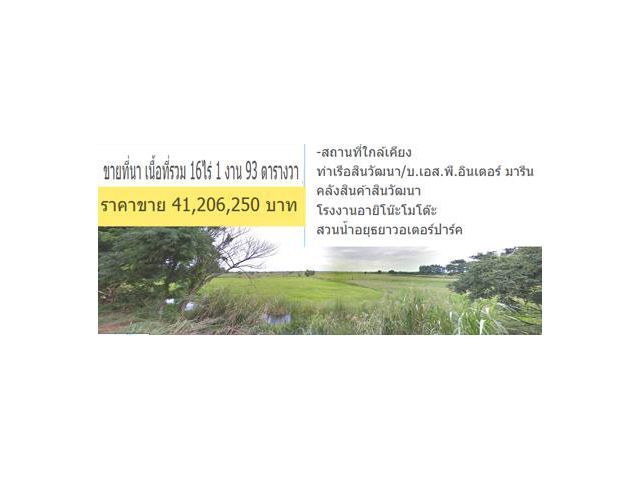 ขายที่นา เนื้อที่รวม 16ไร่ 1 งาน 93 ตารางวา /ใกล้โรงงานอายิโน๊ะ