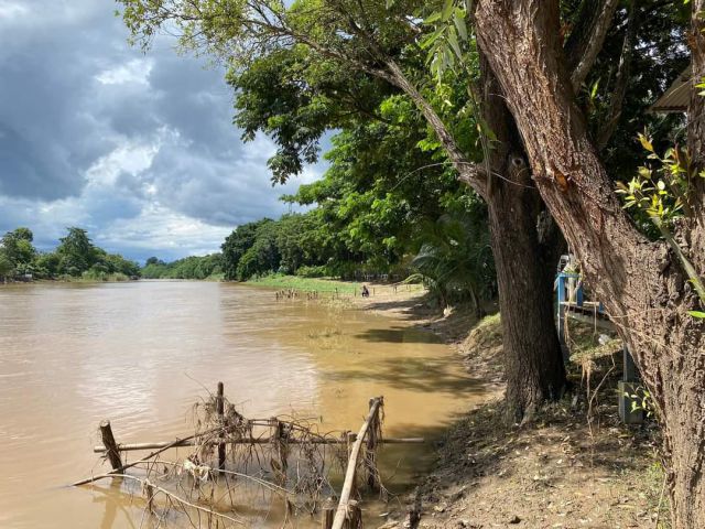 ขายที่ดินตำบลฟ้าฮ่ามติดแม่น้ำปิงยาว 500เมตรพร้อมโอน