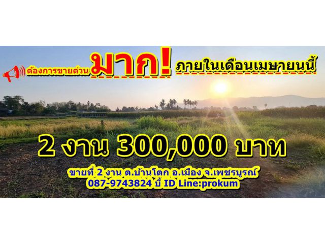 ขายที่ 2 งาน 300,000 บาท ต.บ้านโตก