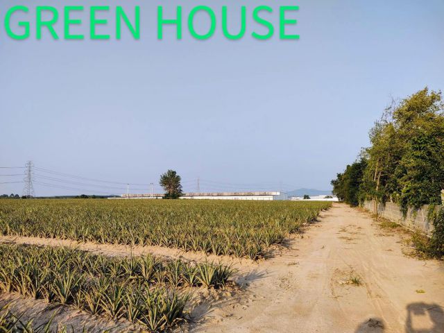 Land for Sale : 54-3-87 rai, Eastern Seaboard Industrial Estate Zone, Chonburi Province