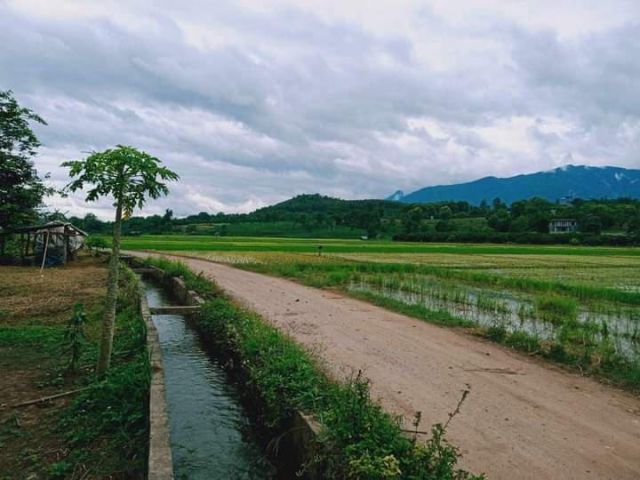 ขายที่ดินวิวดอยติดลำห้วยเมืองงาย เชียงดาวโฉนดพร้อมโอน