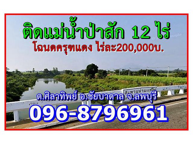 (ติดแม่น้ำป่าสัก)โฉนด12ไร่ ต.ศิลาทิพย์ อ.ชัยบาดาล จ.ลพบุรีต.ศิลาทิพย์ อ.ชัยบาดาล จ.ลพบุรี