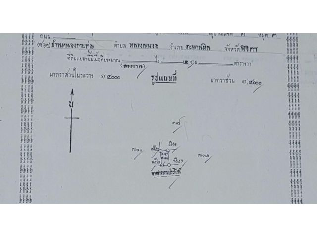 ที่ดินสวย 2 งาน ครุฑแดง ถมแล้ว จังหวัดพิจิตร อำเภอตะพานหิน ตำบลหนองพยอม