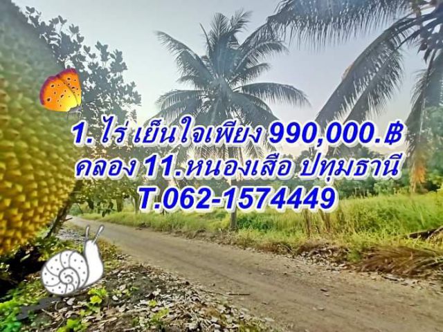 ดีงามที่ดินสวน 1.ไร่.ขายถูกที่คลอง 11.หนองเสือ.T.062-1574449