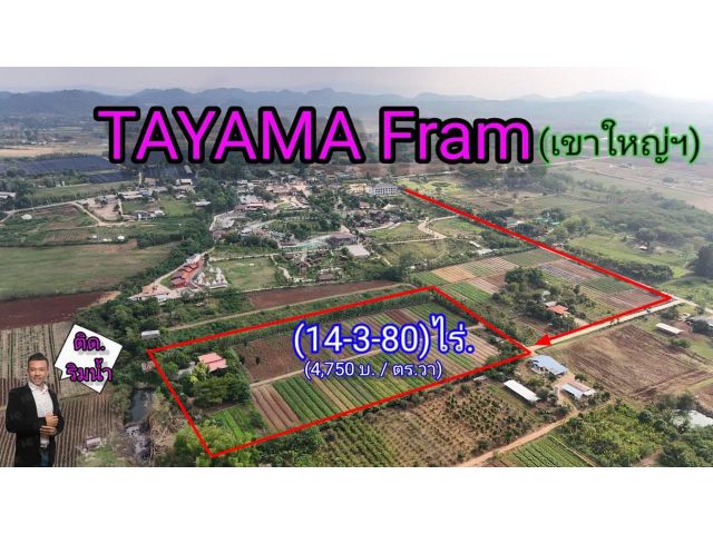 ขายที่ดินเขาใหญ่| หลังTayama Farm Khaoyai (วิวลำธาร+เขา) ไร่ล่ะ 1.9 ล้าน