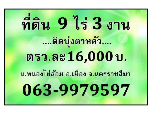 ขาย.ที่ดิน9ไร่2งาน97ตรว.(ติดบุ่งตาหลัว)แปลงสี่เหลี่ยมสวย ต.หนองไผ่ล่อม อ.เมือง จ.นครราชสีมา