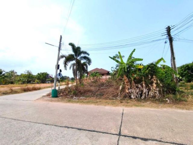 LAND PLOT FOR SALE NEXT TO NEON MAYOM ROAD - PRICE 1,125,000 THB