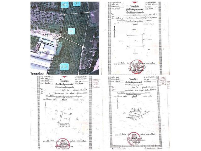 ขายที่ดิน 30 ไร่ 3 งาน 98 ตร.ว จ.เชียงราย อ.พาน ต.สันมะเค็ด ติดถนน สายป่าแดด-พาน ปลูกสวนยาง 2,000 ต้น โทร 0818675639