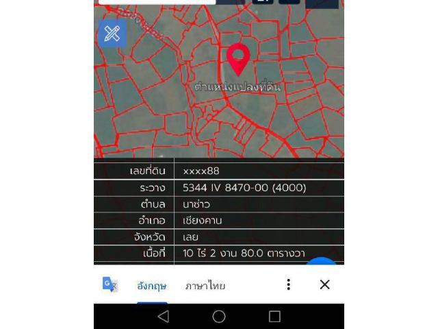 ที่ดินเปล่า10ไร่