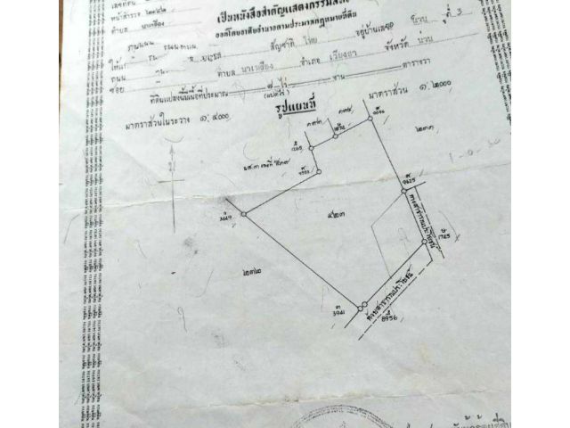 ขายถูกโฉนดพร้อมโอน ยางพร้อมกรีด ไร่ 120000บาท