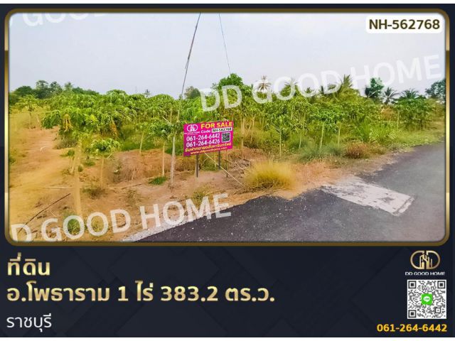 ที่ดิน อ.โพธาราม 1 ไร่ 383.2 ตร.ว. ราชบุรี