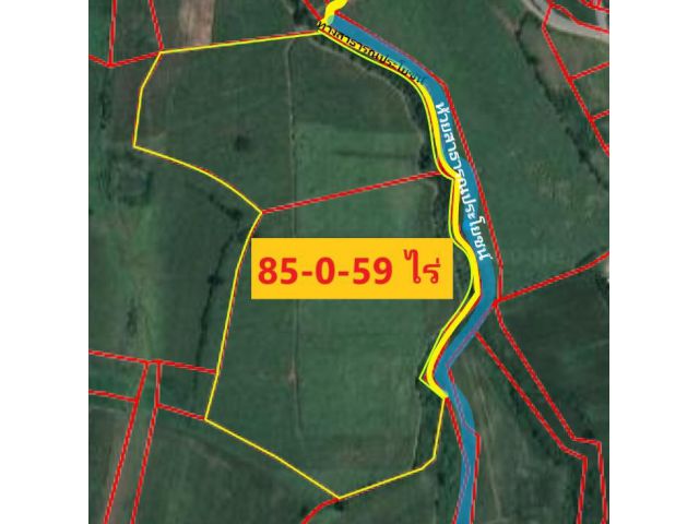 ขายที่ดินตำบลคลองม่วง อำเภอปากช่อง จังหวัดนครราชสีมา 85-0-59 ไร่