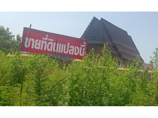 ที่ดินติดถนนหลังวัดเหมืองใหม่