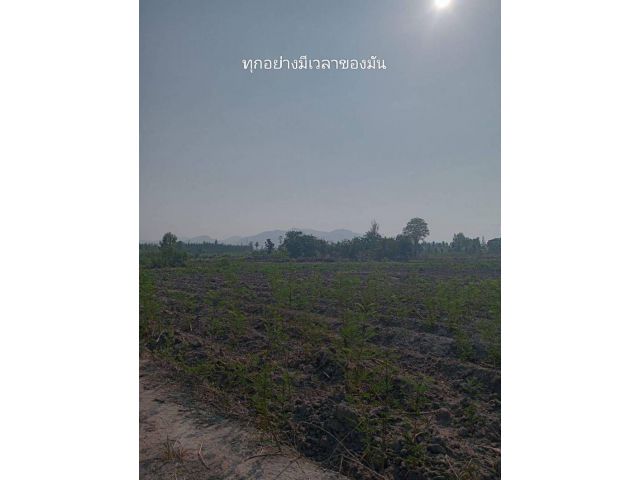 ที่ดิน หนองโรง เขากระปุก ท่ายาง เพชรบุรี