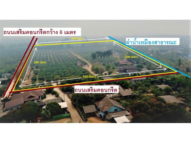 ที่ดินที่สวนลำไยพร้อมบ้านหลังใหญ่ 30 ไร่ แม่สรวยเชียงราย ใกล้วัดแสงแก้ว เขื่อนแม่สรวย ดอยช้าง