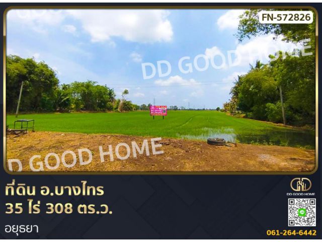 ที่ดิน อ.บางไทร 35 ไร่ 308 ตร.ว. อยุธยา