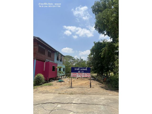 ขายที่ดิน 40 ตรว. บางหลวง ปทุมธานี พร้อมปลูก โฉนดครุฑแดง + น้ำ ไฟ เข้าถึง มีถนนตัดผ่าน