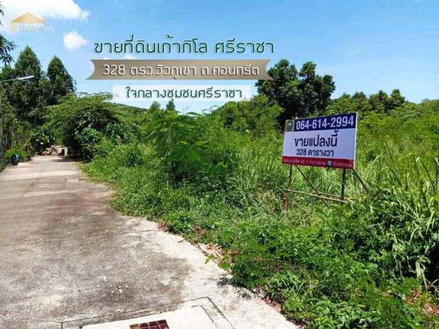 ขายที่ดินเก้ากิโล ศรีราชาชลบุรี ผังสีแดง 328 ตรว.ติดถนน ด้านหลังมีวิวภูเขา