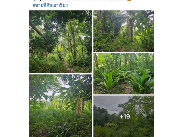 ขายที่ดิน2ไร่ ต.บางพระ อ.ศรีราชา จ.ชลบุรี