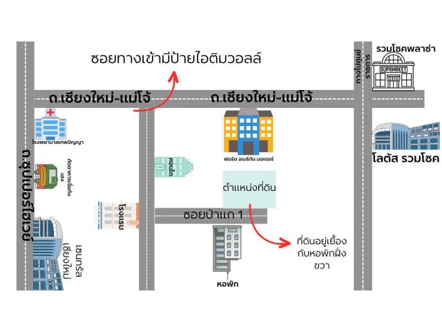 ขายที่ดินเปล่าซอยป่าแก1 ตำบลฟ้าฮ่าม อำเภอเมืองเชียงใหม่ จังหวัดเชียงใหม่