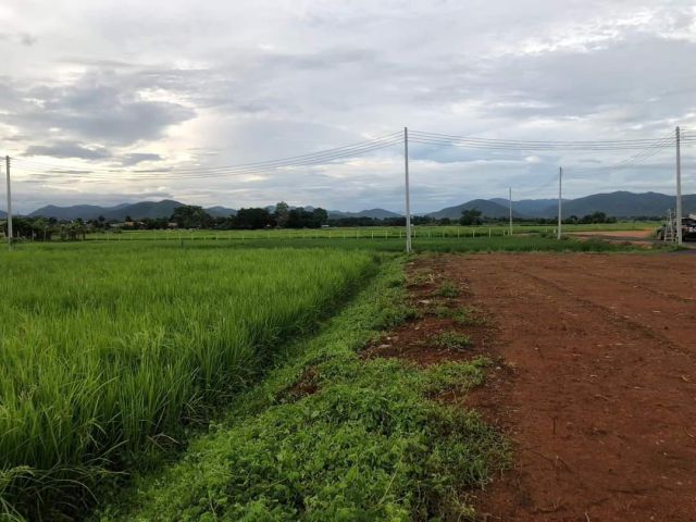 ขายที่ดินบ้านลวงเหนือดอยสะเก็ตถมดินเรียบร้อยพร้อมโอน