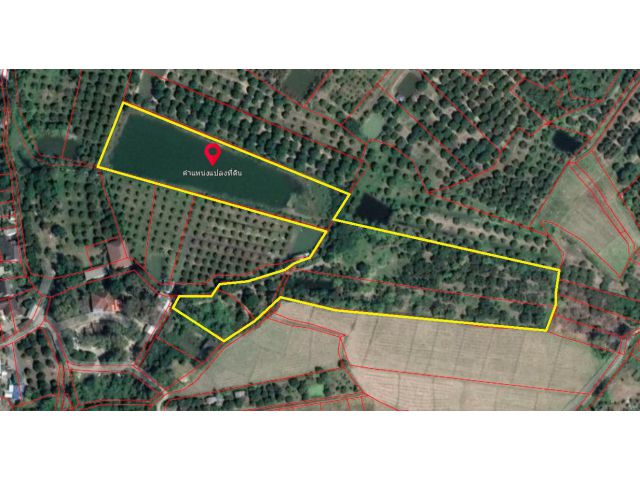 pcr2464 ขายดินเป็นโฉนด ต.หารแก้ว อ.หางดง จ.เชียงใหม่