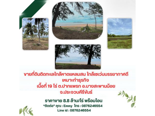 ขายที่ดินติดทะเลใกล้หาดแหลมสนใกล้เซเว่นบรรยากาศดีเหมาะทำธุรกิจเนื้อที่19ไร่ต.ปากแพรก อ.บางสะพานน้อย จ.ประจวบคีรีขันธ์