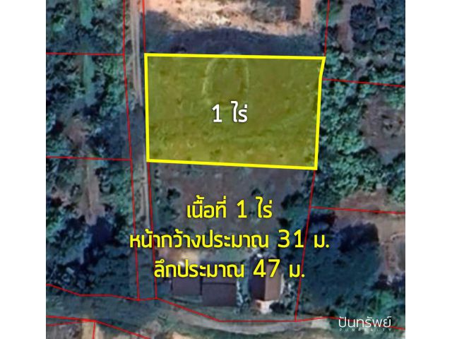 ขาย️ ที่ดิน 1 ไร่ ต.เมืองงาย อ.เชียงดาว จ.เชียงใหม่