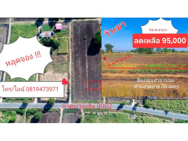 ขายที่ดินวิวเขา 94 ตร.วา 95,000 ฟรีโอน อ.โคกสำโรง จ.ลพบุรี