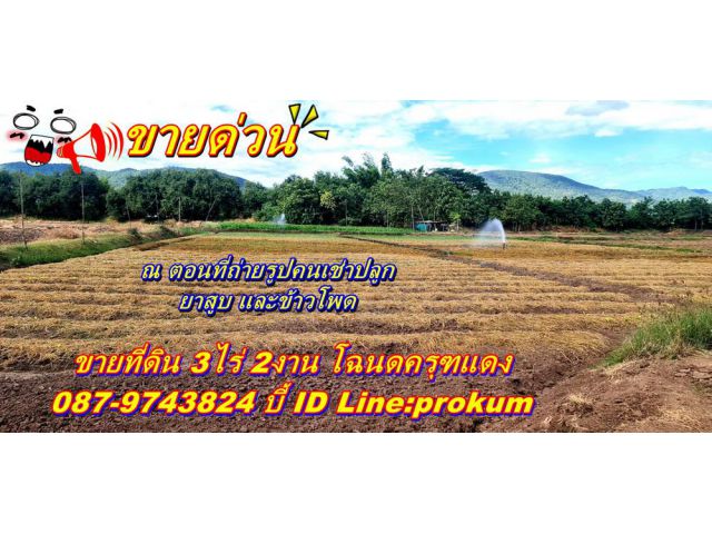 ขายที่ดินเพชรบูรณ์ 3ไร่ 2 งานโฉนดครุฑแดง ใกล้ๆ ตลาดสดบ้านท่าพล