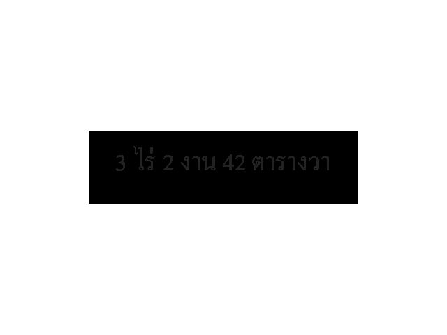 ขายที่ดินติดถนน 346 บางเลน-ไผ่หูช้าง ใกล้โรงงานยางดีสโตน