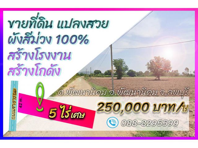 ►►► ขายที่ดิน ผังสีม่วง 5 ไร่เศษ ในซอย 1x พัฒนานิคม ใกล้เสาไฟฟ้าสามเฟส เพียง 250,000 บาท/ไร่