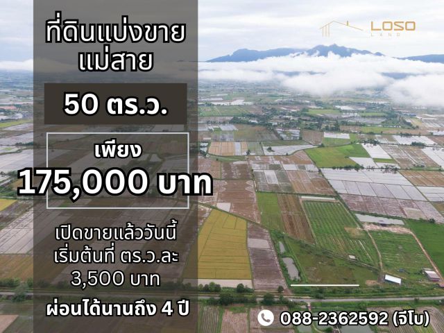 ที่ดินแบ่งขายแม่สาย ผ่อนได้ 4 ปีไม่มีดอก เริ่มต้นแปลงละ 175,000 บาท ดาวน์ 40%ขึ้นไป