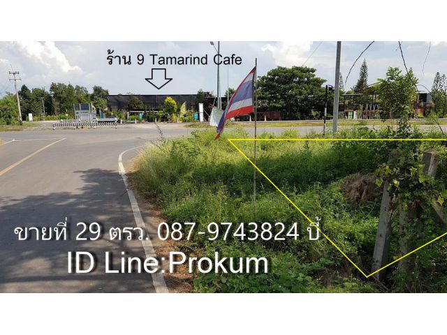 ขายที่ 29 ตรว.ตรงข้ามร้านกาแฟ 9 Tamarind Cafe'