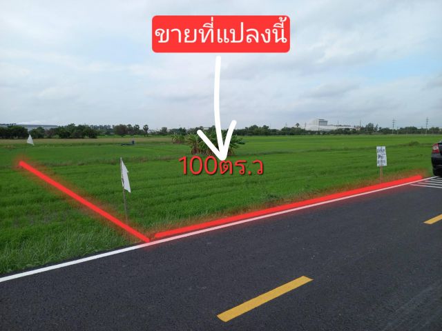 ●○●○●○ที่สวยราคาถูก 100 ตร.ว ●ปี 54 น้ำไม่ท่วม เข้า-ออก 2ทาง ●แปลงเดียวเท่านั้น●○●○●○