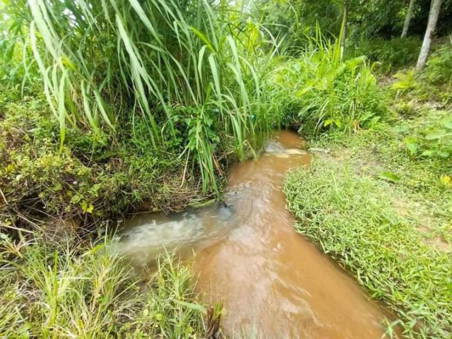 ขายที่ดินติดลำห้วย เชียงดาววิวดอยโฉนดพร้อมโอน