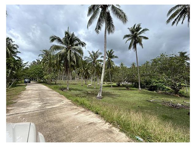 ขายที่ดินสวย ขนาด 3 ไร่ 71 ตรว. ที่บ้านหาดทรายรี จ.ชุมพร