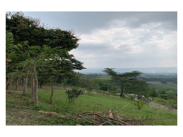 ขายถูก ขายด่วน ลดแรง ขายที่ดินมีโฉนด บนเนินเขา แปลงสวยที่สุดของโครงการ The Peak at Khao Kho