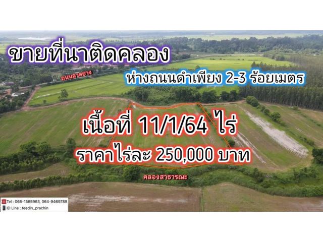 ขายที่ทำเกษตรติดคลอง เนื้อที่ 11 ไร่ 1 งาน 64 ตร.ว. เขตวังดาล