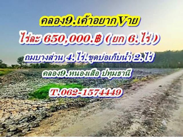 ที่ดินคลอง9เราขายถูกมาก ถมแล้วบางส่วน. นัดหมาย .T.062-1574449