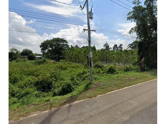 ขายที่ดินบ้านทาม ศรีมหาโพธิ 269 ตรว. ติดถนนเส้นปจ.4043 ซอยวัดหาดนางแก้วใกล้วัดประทุมบูชา-10กม. จ.ปราจีนบุรี