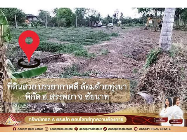 ขายที่ดินเปล่า บรรยากาศดี ล้อมรอบด้วยทุ่งนา ต.บางหลวง อ.สรรพยา จ.ชัยนาท