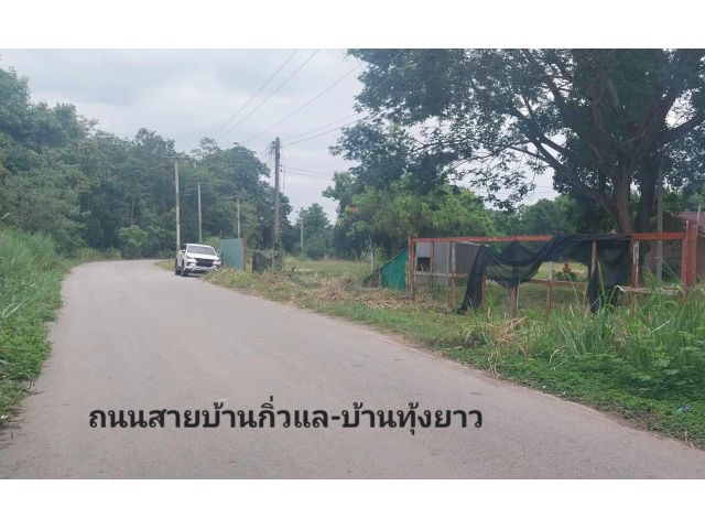 ฿ขายที่ดิน10ไร่2งาน81ตร.ว.อยู่ติดถนนใหญ่สายบ้านกิ่วแล-บ้านทุ่งยาว ต.เชิงดอย อ.ดอยสะเก็ด ขายถูกที่สุดในย่านนี้?