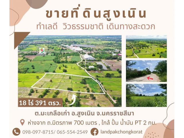 ขายที่ดินโคราช เดินทางสะดวก ใกล้ถนนมิตรภาพเพียง 700 เมตร ต.มะเกลือเก่า อ.สูงเนิน จ.นครราชสีมา