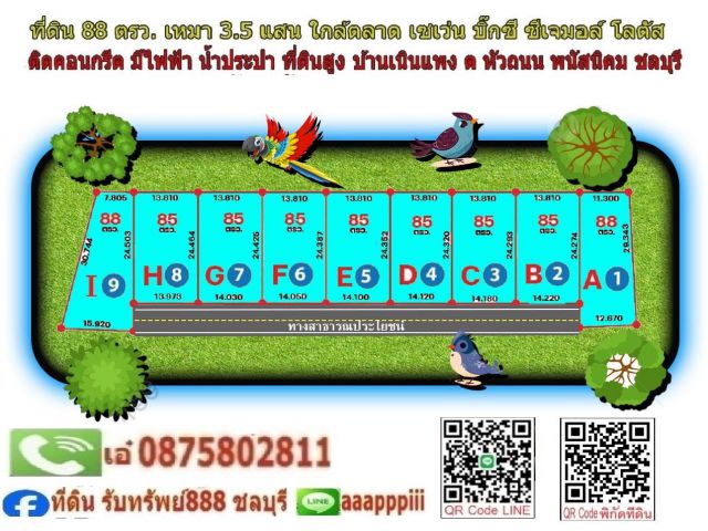 ที่ดิน 88 ตรว เหมา 3.5 แสน ใกล้นิคมอมตะ ใกล้เซเว่น ใกล้ตลาด แหล่งชุมชน บรรยากาศธรรมชาติ วิวดี