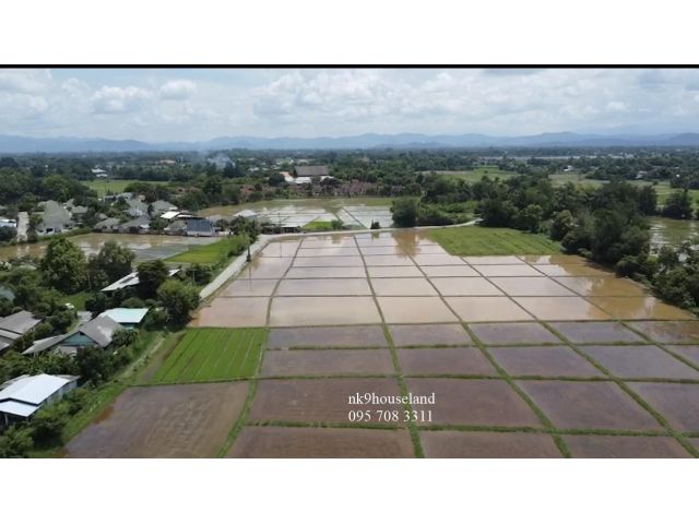 ที่ดินเชียงใหม่ ดอยสะเก็ด แม่คือ ใกล้ตลาดแม่คือ ใกล้ตาณังเรณัง  ใกล้แยกบ่อสร้าง 30นาทีจากสนามบินเชียงใหม่